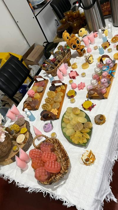 Sindicato Rural de Laranjeiras do Sul oferece curso gratuito sobre Artesanato com Produtos Apícolas 